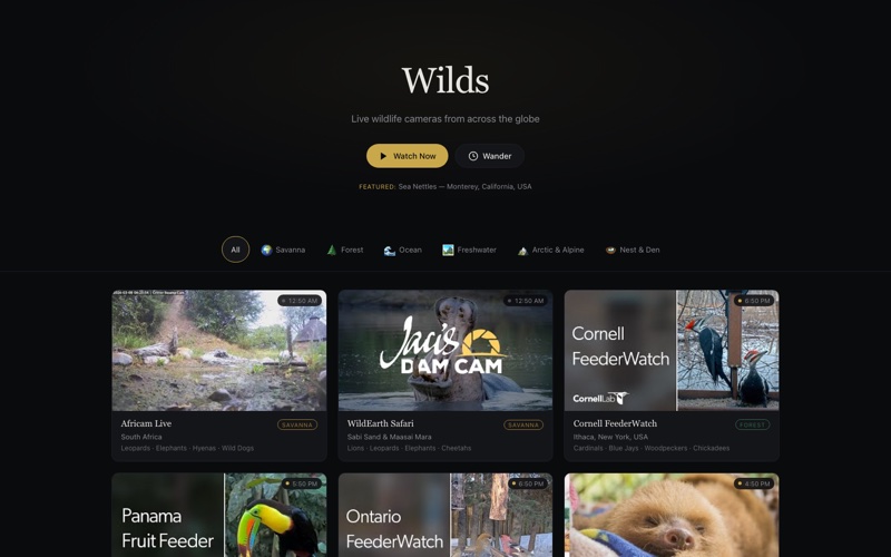 Screenshot of Wilds